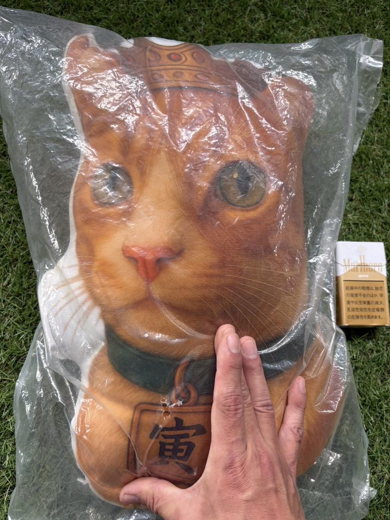 猫のオリジナルクッション