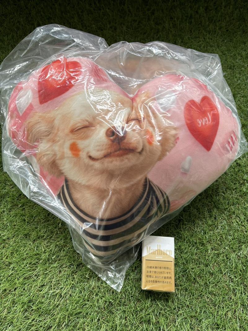 チワワのオリジナルクッション